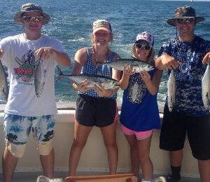 A nice inshore charter catch of spanish mackerel and tunas
